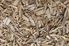 biomass boilers Scrapsgate